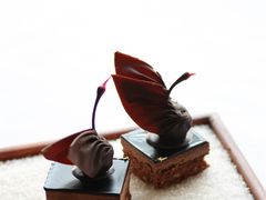 -BLACKSWAN黑天鹅(环球店)