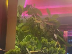 -唐元阁·影院足道SPA·养生会所