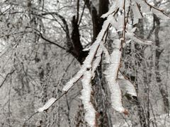 -终南山南五台景区