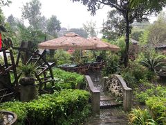 -青城甲(青城山店)