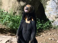 -杭州野生动物世界