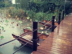 -茯茶镇