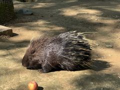 -青藏高原野生动物园