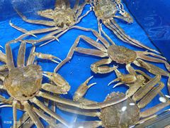 -船梆煮•蒸汽海鲜·炉火烤肉(五四广场店)