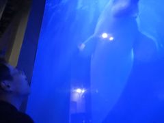 -大连圣亚海洋世界