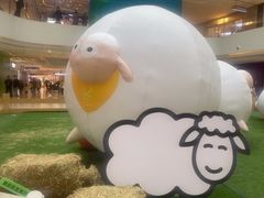 -阳光天地