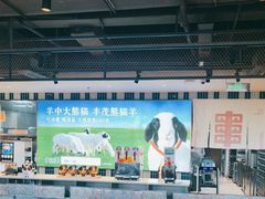 -丰茂烤串(公园店)