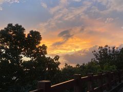 -杭州半山国家森林公园