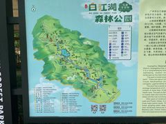-广州白江湖森林公园