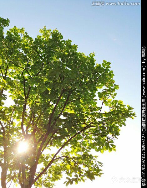 外卖不送上门又不能出去的日子有好多好多想吃的