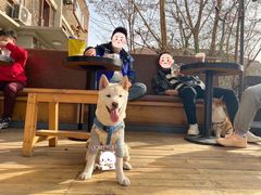 -叁秋咖啡 SANQIU COFFEE(天津河北路店)