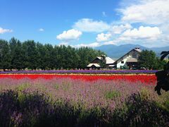 -富田农场