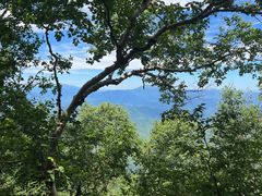 -白草畔自然风景区