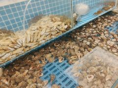 -港畔赶海蒸汽海鲜烧烤自助(仙螺岛店)
