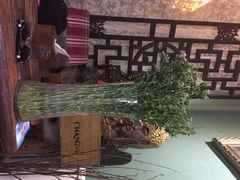 后院咖啡-后院花语咖啡