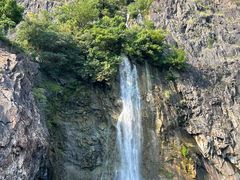 -上海辰山植物园