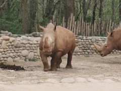 -北京野生动物园