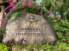 -呀诺达热带雨林
