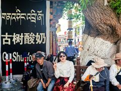 -古树酸奶(八廓南街店)