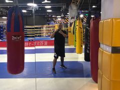 -鲨石格斗联盟(双井店)