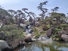 -罗红摄影艺术馆