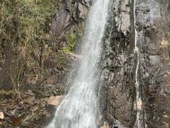 -姑婆山旅游区