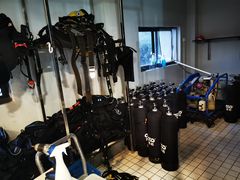 -上海潜殿潜水中心