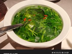 -醉庐·新上海菜(南京西路店)