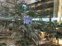 -樟宜机场免税店