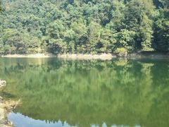 -江西阳明山国家森林公园