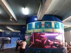 -泉州海丝野生动物世界