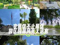 -中国农业博物馆