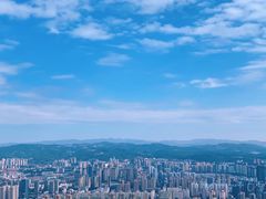 -长虫山生态公园风景林