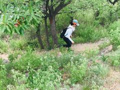 -阳台山自然风景区