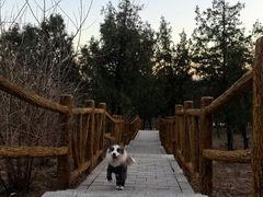 -白水寺森林公园