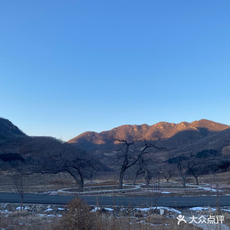 乡村爱情