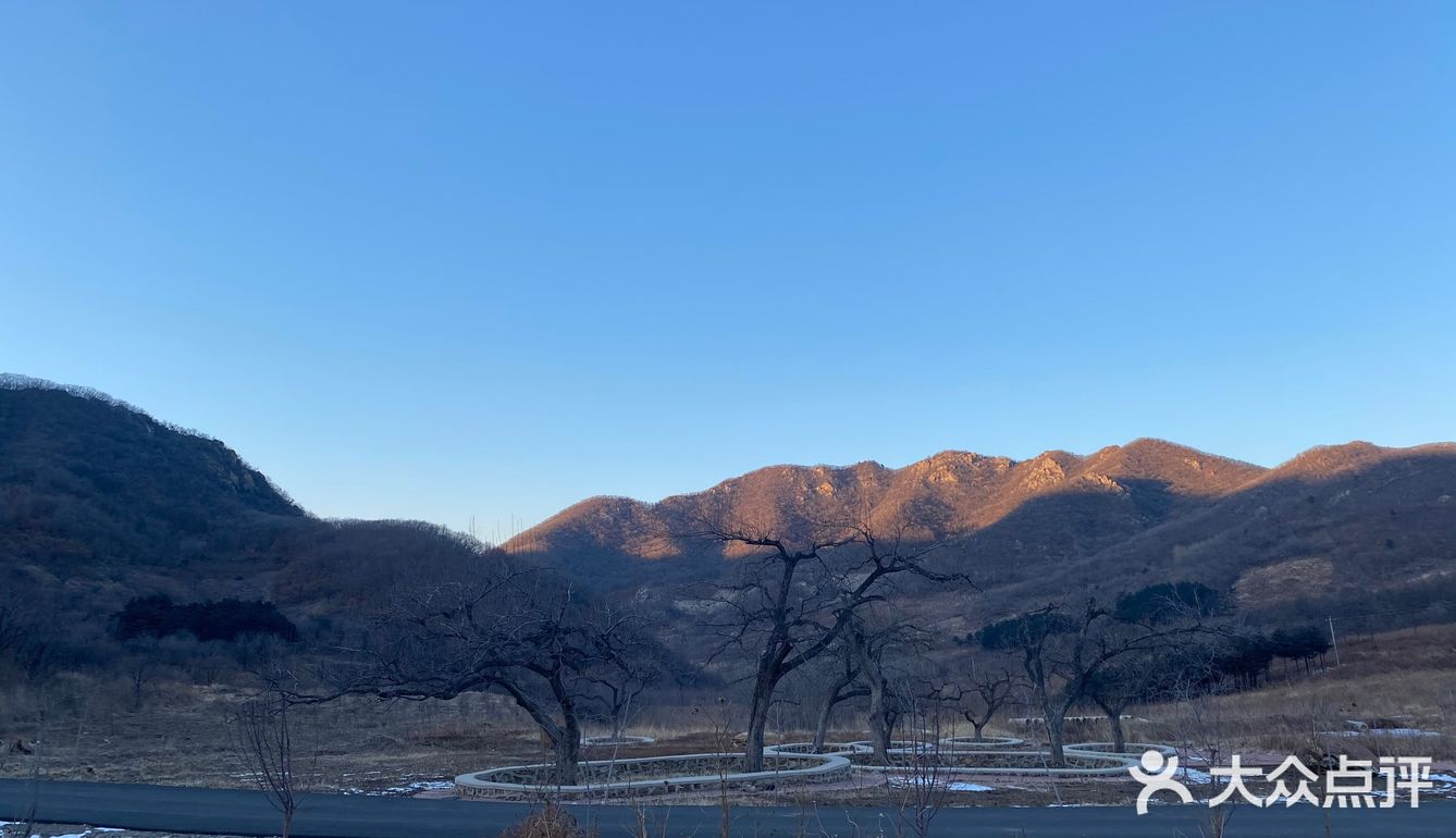 乡村爱情