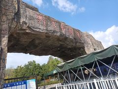 -合肥野生动物园