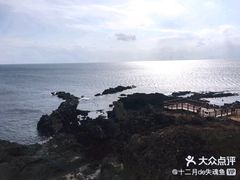 -涉地可支