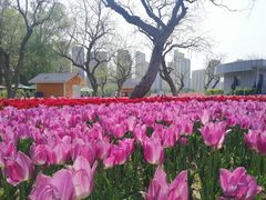 -黄河三峡风景名胜区