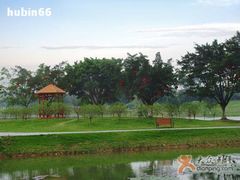 -东莞植物园