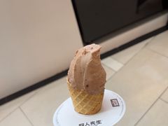 -野人先生现做冰淇淋(北京环宇荟店)