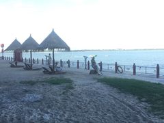 -北海金海湾红树林生态旅游区