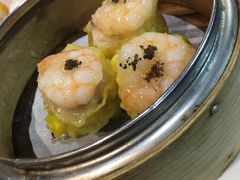 -糖朝(尖沙咀店)