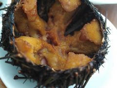 -海胆小馆(东北水饺·春柳店)