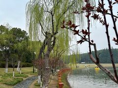 -黄兴公园