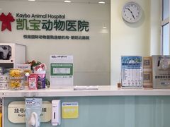 -悦宠凯宝动物医院·牙科·皮肤科(朝阳北路店)