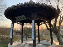 -扬州大运河文化旅游度假区·盆景园