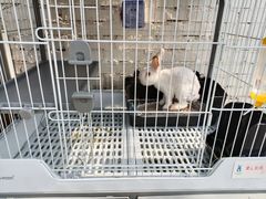 -小意思咖啡店(草桥店)