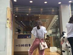 -一只酸奶牛(八一路店)